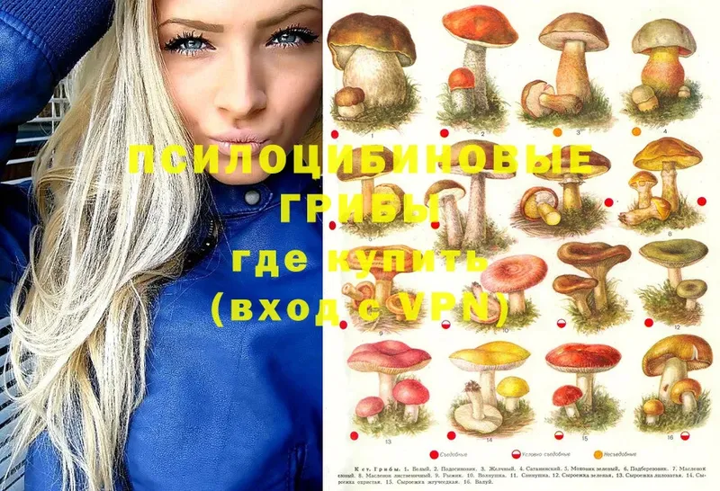 Галлюциногенные грибы Magic Shrooms Яровое